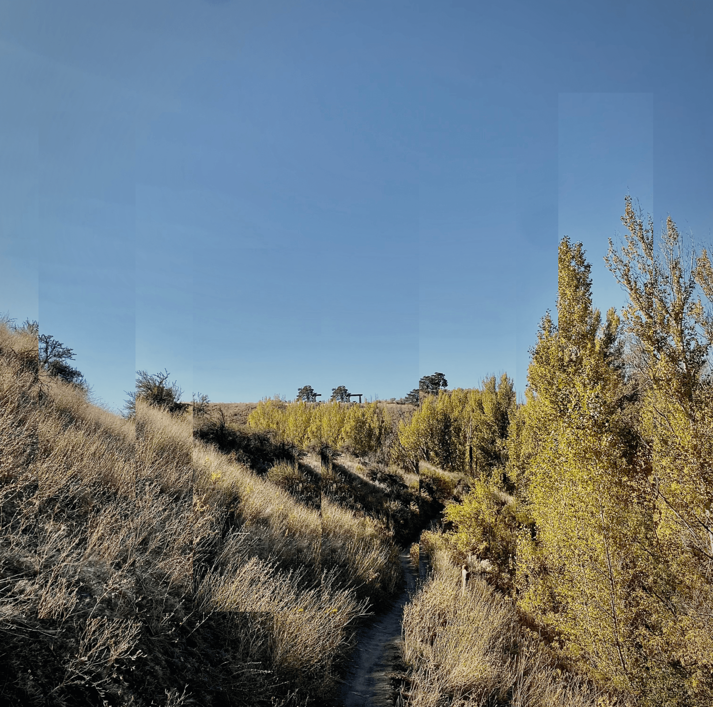 Little Giver - Little Giver Album Cover